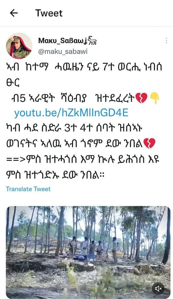 AlamiBerhan's tweet photo. @MILKA_IG ሰላምተጋሩዋይ ኣጆና ጅጋኑ ደቂ ህዝቢ https://t.co/tmrMcctL62