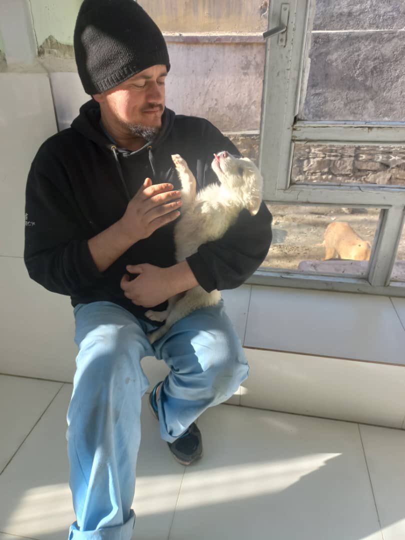 KSARshelter's tweet photo. Woof-morning #KSARpack.
Safidak is unfortunately continuously breaking the law. Pictured below with yet another victim who’s heart was stolen by her undeniable charm.
There’s only 12 hours left to cast your free vote on MyGivingCircle🐾
https://t.co/YxP28rp1YQ
#RescueDogs https://t.co/rZWfQCPEvm