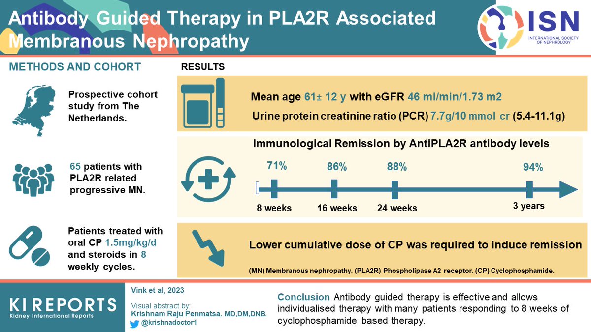 KIReports's tweet photo. Antibody guided therapy in #PLA2R-associated #membranous nephropathy 

#VisualAbstract by @krishnadoctor1 

https://t.co/lSjzyIpKva https://t.co/eQLU7VaOpt