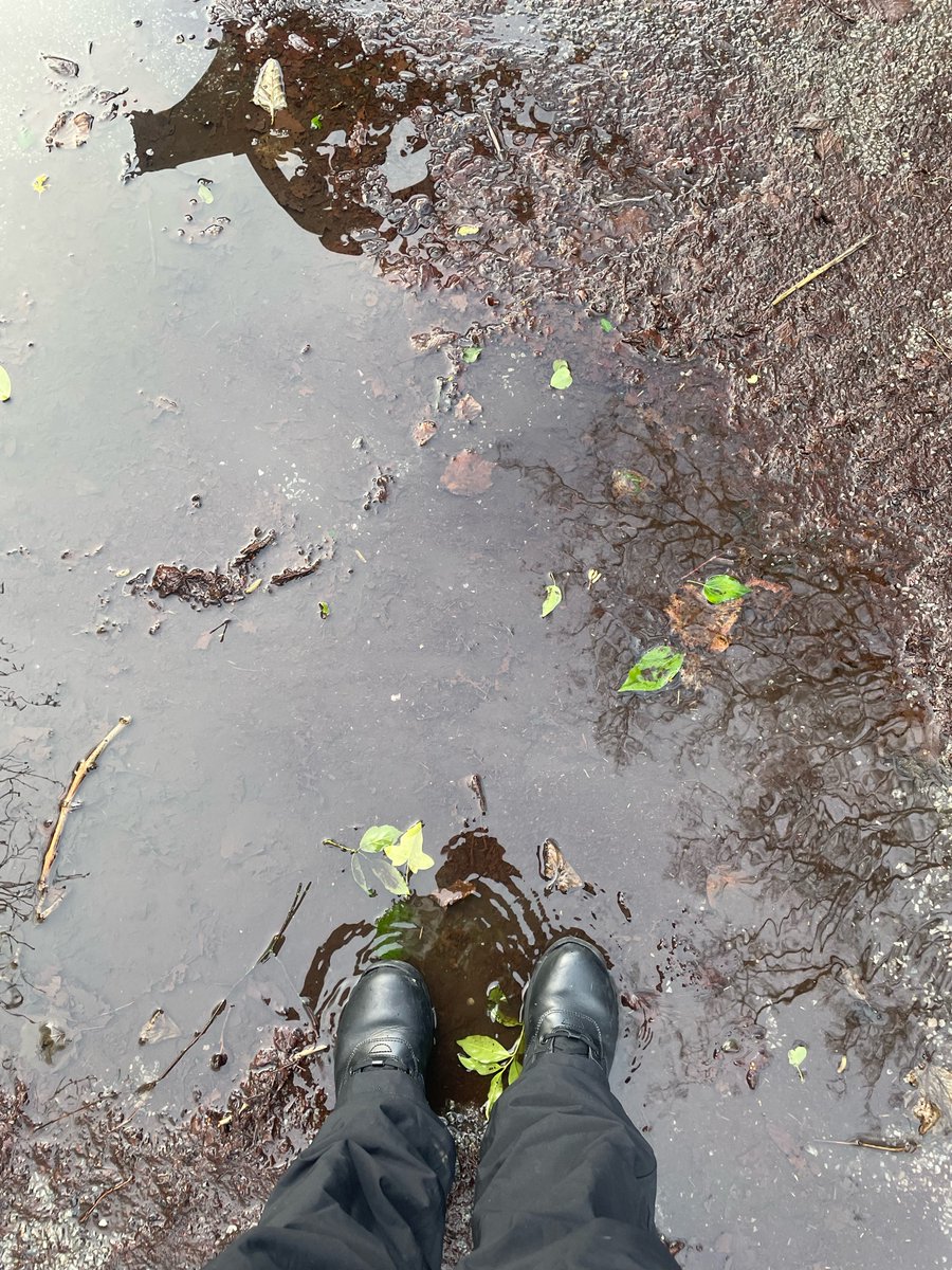 CopelandPolice's tweet photo. I started off in torrential rain and full waterproofs, the sun is now breaking through. Thank you to the Cleator Moor locals for doing a sun dance! PC 2503 Pickering-Smith out and about on foot patrol. Here’s hoping the dry weather stays! #communitypolicing #localofficer https://t.co/hLpA363udV
