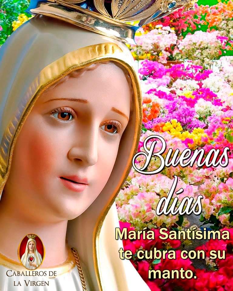 RuizHurtadoRE's tweet photo. ¡Buenos días!
#NoPermitas que las pruebas cotidianas de mi vida, me hagan olvidar de tu gran amor y cariño. https://t.co/eJjQS0tTcU
