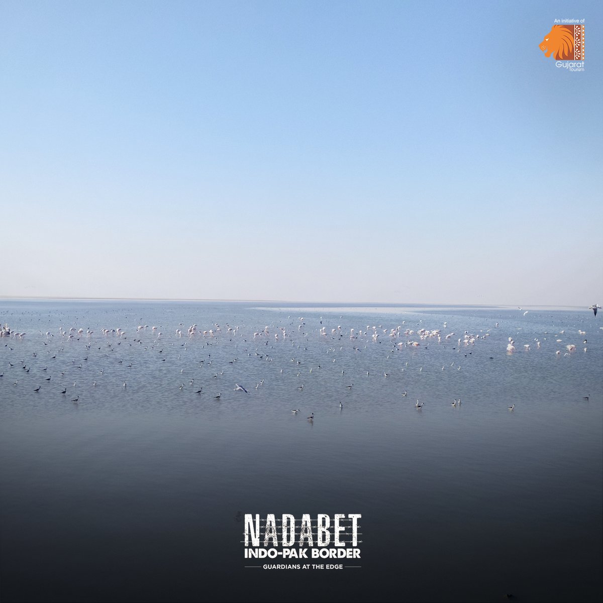 A few glimpses of the bird watching activity at the Nadabet Indo-Pak Border. The place hosts different bird species from various habitats. 

#birdwatching #Nadabet #bordertourism #NadabetBorder #visitnadabet #Gujarat #GujaratTourism