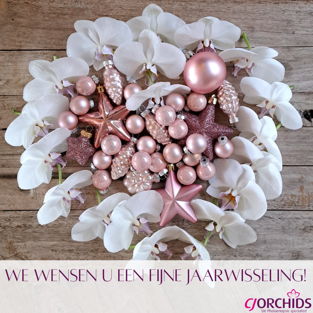 CJ Orchids tweet media