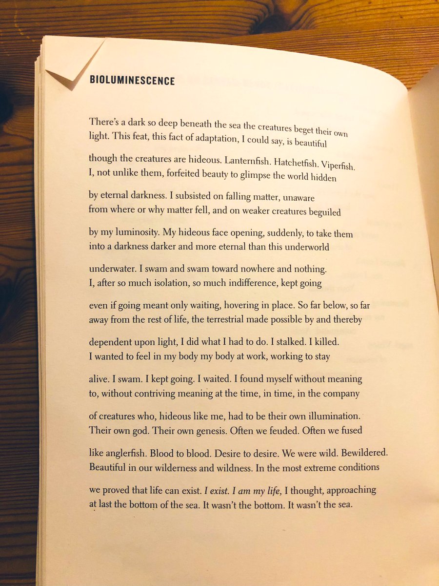 ‘There’s a dark so deep beneath the sea the creatures beget their own / light.’ — Paul Tran (@speakdeadly) 

#mypoetrybookshelf