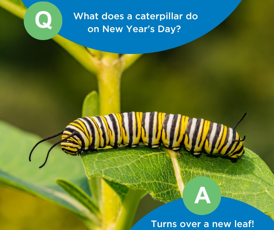 HomeTeamPestDefense tweet media