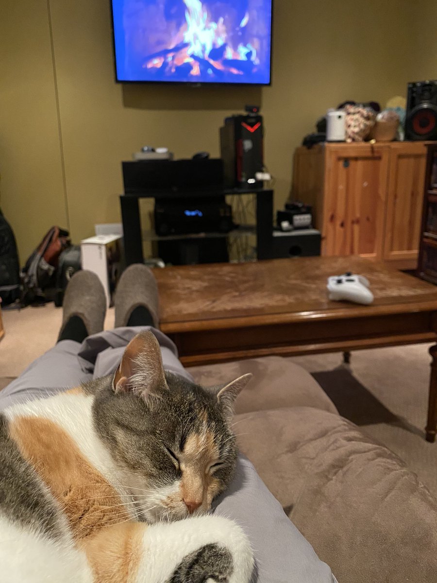 Amy R Neufeld tweet media