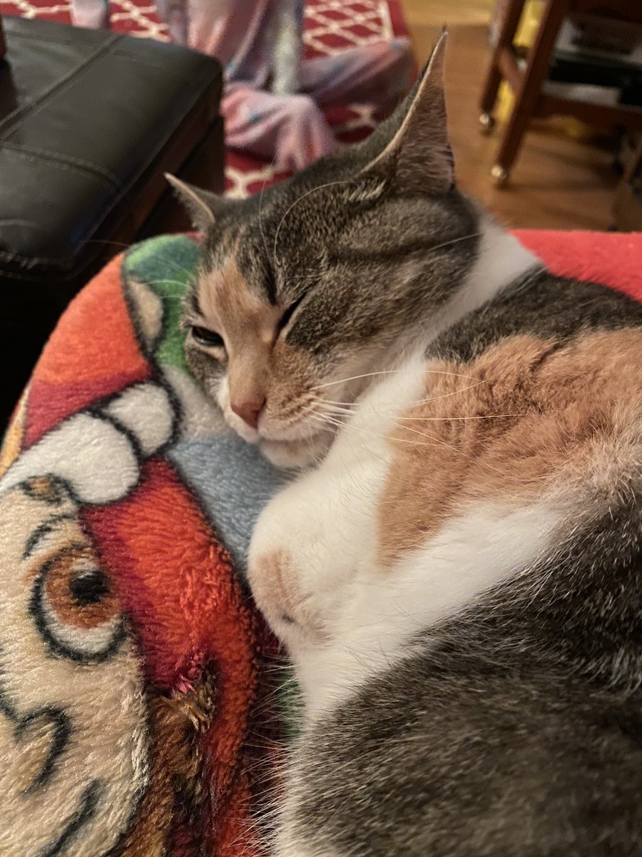 Amy R Neufeld tweet media