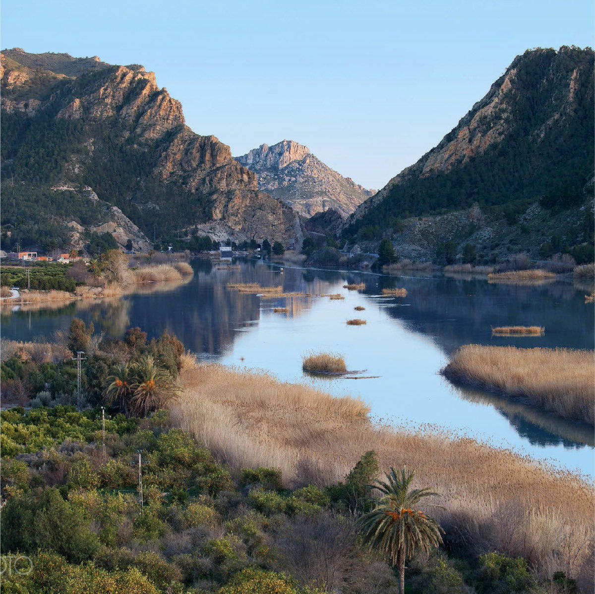 Carlos Alcaraz tweet media