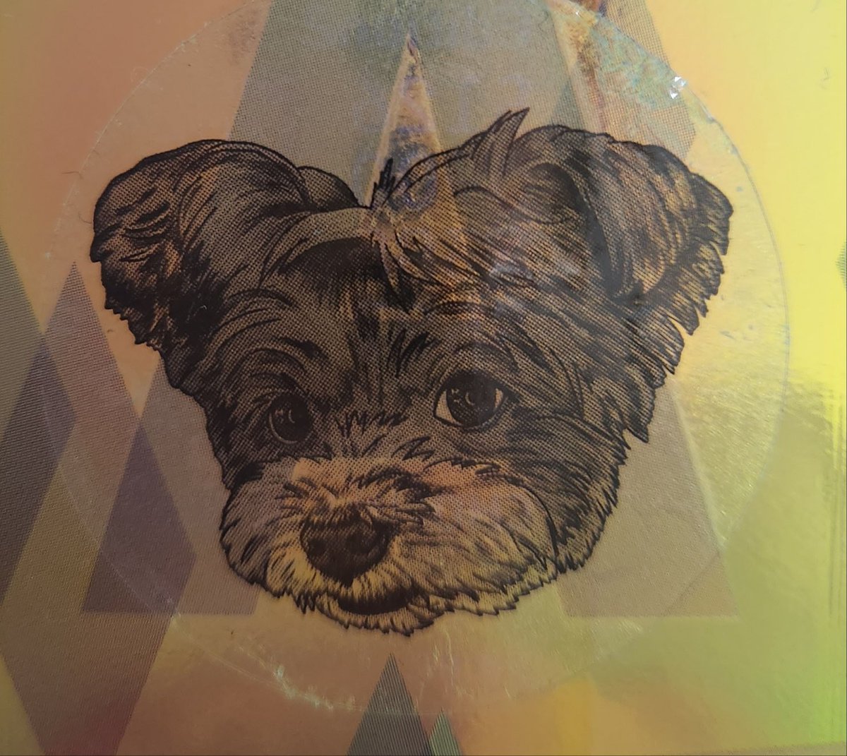 rinasmc's tweet image. 토리를 어디에 붙일까 고민하다가 핸펀 뒤에 오픈형으로 있는 카드에 붙였어요~ 예쁜 토리