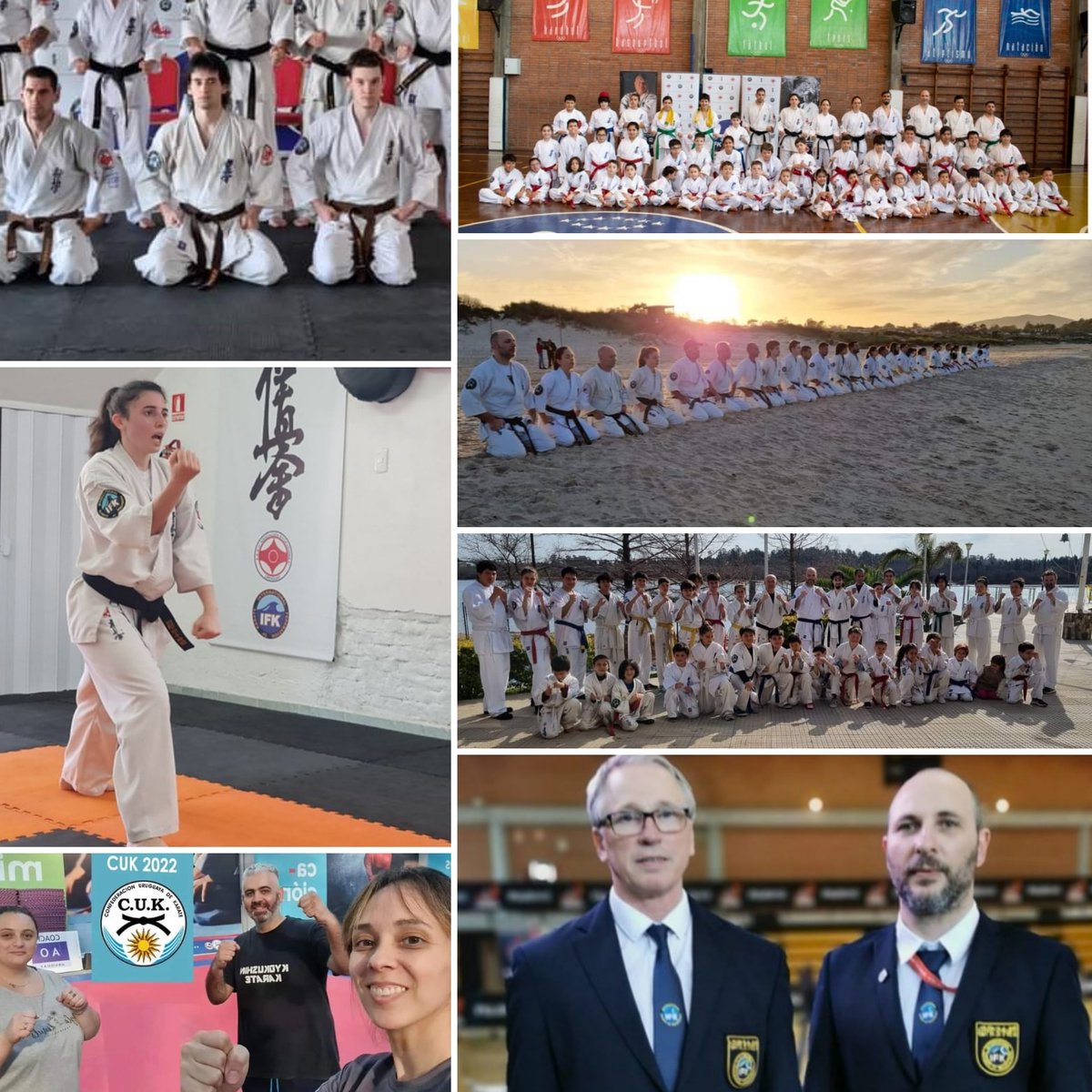 German Carballo Shihan tweet media