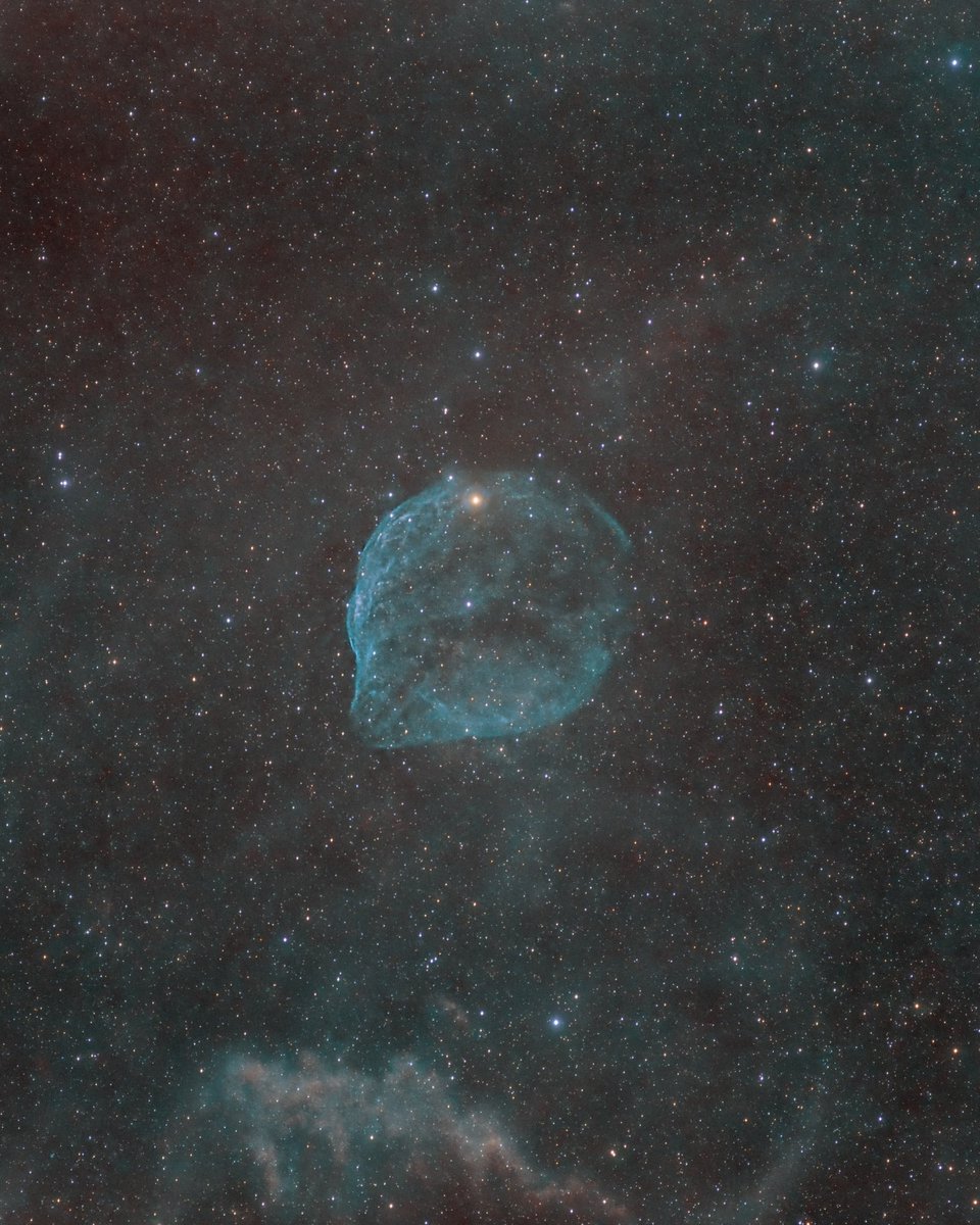 Another first for me. The Dolphin’s Head Nebula- wanted to image this for a long time - HOO - 5 hours #Astrophotography #astronomy