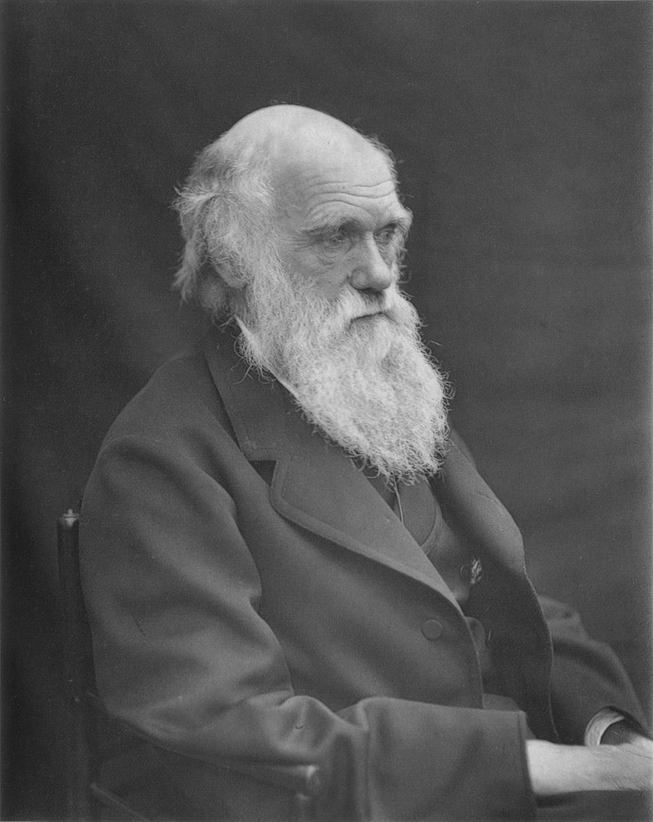 “A man who dares to waste one hour of time has not discovered the value of life.”
― Charles Darwin