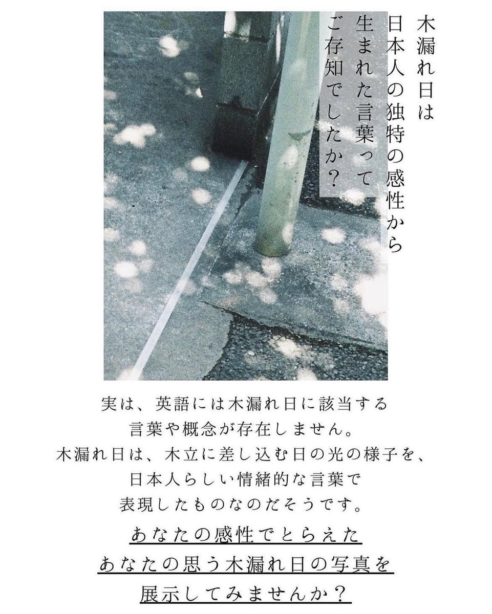 picte_official's tweet photo. ＼出展者募集中！／

1月開催企画、ふたつめ！
「木漏れ日展」

木漏れ日、という言葉や概念は、日本独特のものだということ、知っていましたか？
英語ではそれを表す言葉がないのだとか。

木漏れ日って、季節によって表情が変わる気がします。

あなたの木漏れ日、展示してみませんか？🍃 https://t.co/sUmta4GWcq