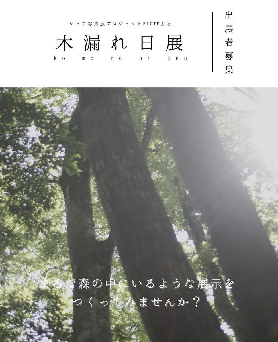picte_official's tweet photo. ＼出展者募集中！／

1月開催企画、ふたつめ！
「木漏れ日展」

木漏れ日、という言葉や概念は、日本独特のものだということ、知っていましたか？
英語ではそれを表す言葉がないのだとか。

木漏れ日って、季節によって表情が変わる気がします。

あなたの木漏れ日、展示してみませんか？🍃 https://t.co/sUmta4GWcq
