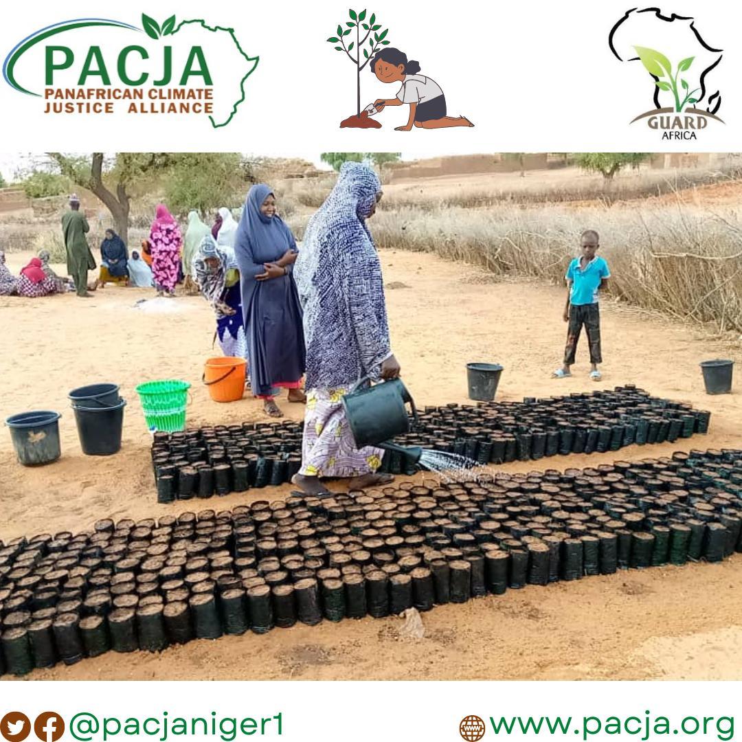NouhouNafifatou's tweet photo. Femmes et Changement Climatique. #InitiativesVertes pour une #adaptationDurable. #ResilienceClimatique .
@PACJA1 @Pacjaniger1
@pacjaci @PacjaU @issagne @mithika_mwenda @ABNJAMNSHI @kobiah @Sida #ClimateAction #ClimateJustice https://t.co/sTws89kPed