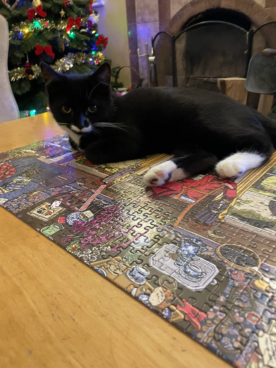 ellygriffiths's tweet photo. Agatha Christie jigsaw completed (with help) https://t.co/l1g3UkCmXV