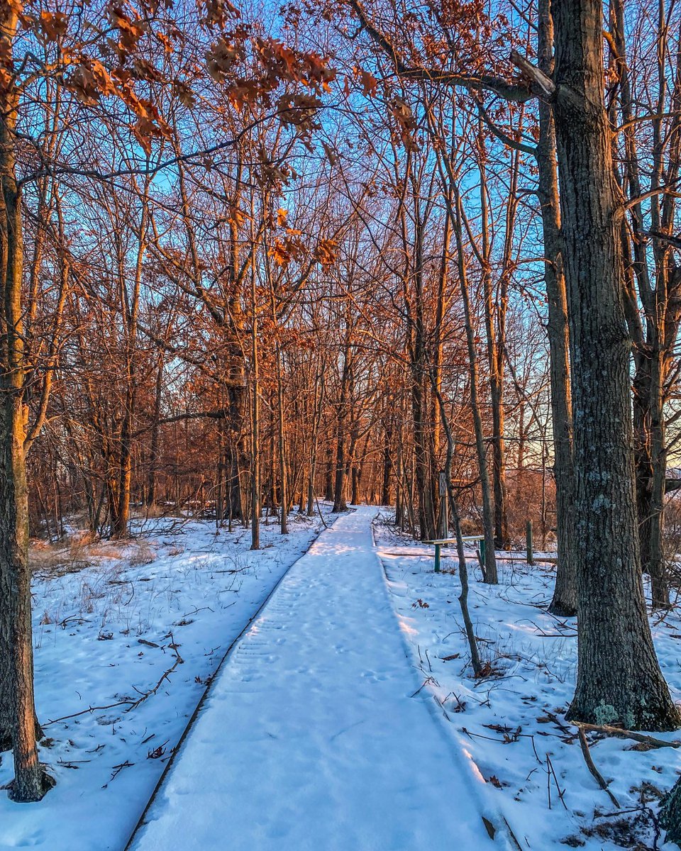 Pinconning_MI's tweet photo. One of our favorite winter visitor photos! #winter #michiganwinter #pinconningmi https://t.co/bC96LKyHm2