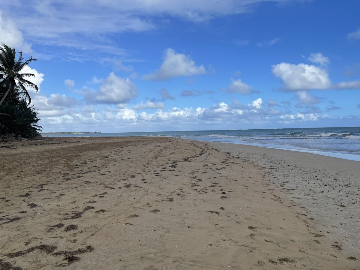 Puerto Rico 🇵🇷 beach time