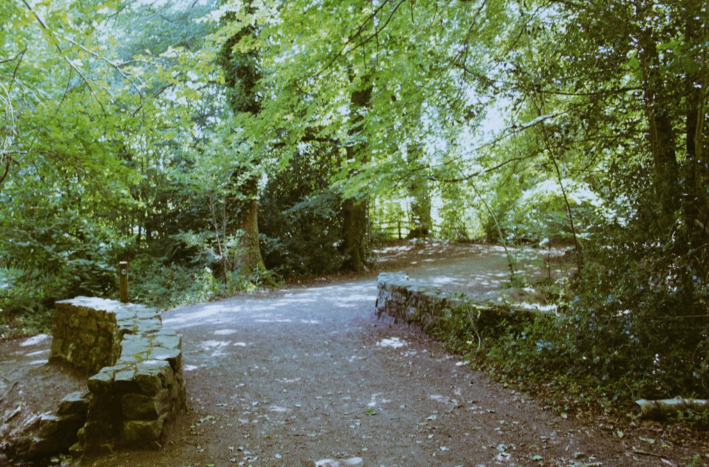 ExeterRamblers's tweet image. Thanks for walking with and supporting us in 2022.   Exeter Ramblers wish you a very happy new year.   Our walks programme starts up again on the 3rd January with a beautiful walk around Decoy Park.   Come and join us.   Full details at exeterramblers.org.uk