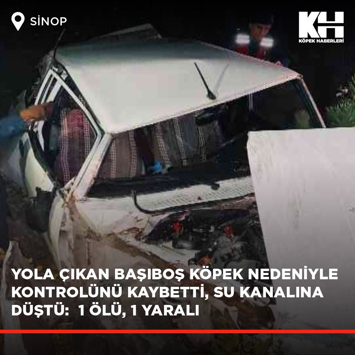 Sinop-Boyabat yolu üzerinde, yola çıkan başıboş köpek nedeniyle sürücüsünün kontrolünü kaybettiği otomobil su kanalına düştü.
#kuduz .
Otomobildeki sürücü Aslan D. ile yolcu Nazmiye D. ağır yaralandı. Nazmiye D., yapılan tüm müdahalelere rağmen kurtarılamayarak hayatını kaybetti.