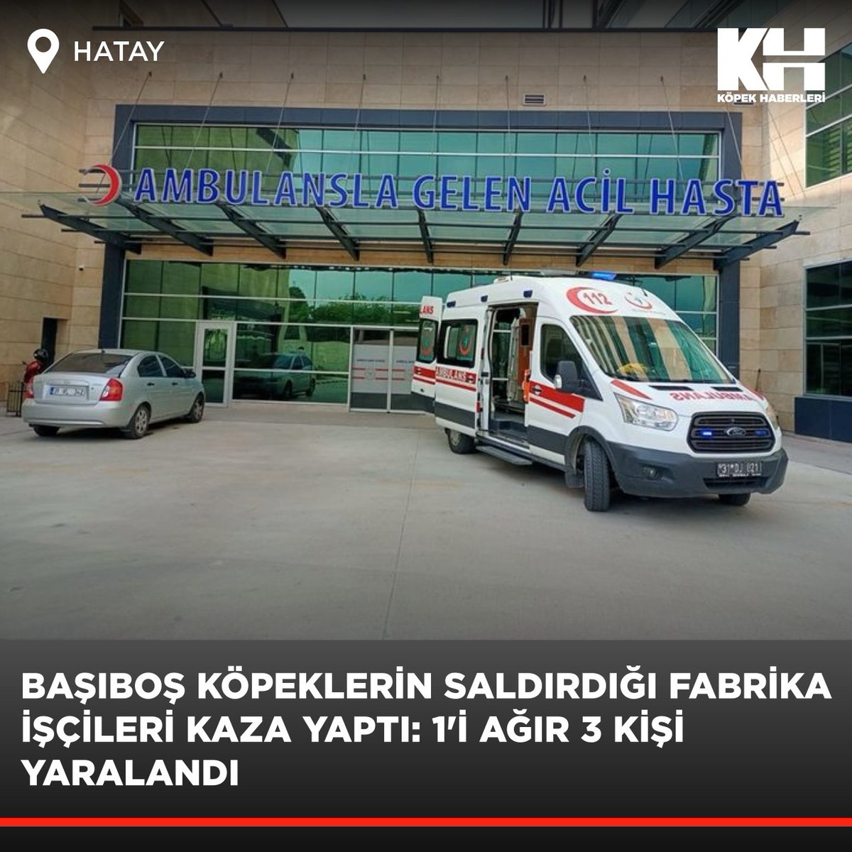 Hatay'ın Dörtyol ilçesinde gece yarısı fabrikadan çıkarak motosikletleri ile evine gitmek isteyen vatandaşlara başıboş köpekler saldırdı! 
#kuduz .
Köpeklerin neden olduğu kazada 1'i ağır 3 kişi yaralandı. Yaralılar, sağlık ekiplerince Dörtyol Devlet Hastanesine kaldırıldı.