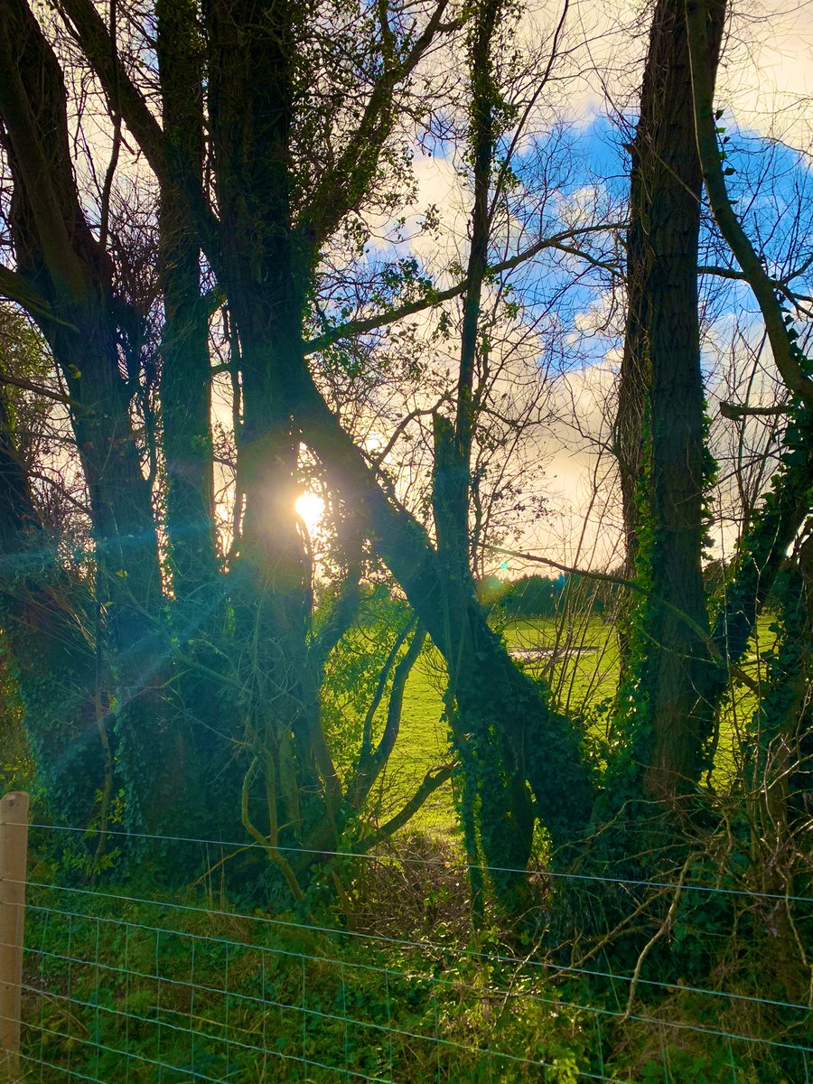 mandevillish's tweet photo. #BVLC Greenway #CountyMeath https://t.co/rT5GG5kjUo