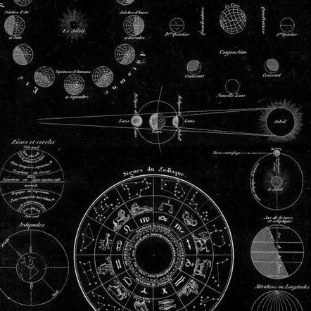 ⠀
⠀layla     ★  ⠀ astrology student
⠀2004 '⠀not new in  #girp
⠀rt  ⠀nd⠀  fav   to   be⠀  moots

⠀