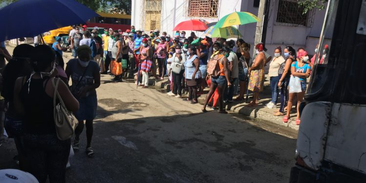 Enrique_GomezM's tweet photo. Estas son las realidades que encantan a los socialistas: pueblos empobrecidos, con hambre, pidiendo de rodillas en filas interminables un poco de limosna gubernamental. Ese es el paraíso chavista que Petro anhela para toda Colombia ¿Ustedes van a permitir eso colombianos? https://t.co/ouRagvjvNY