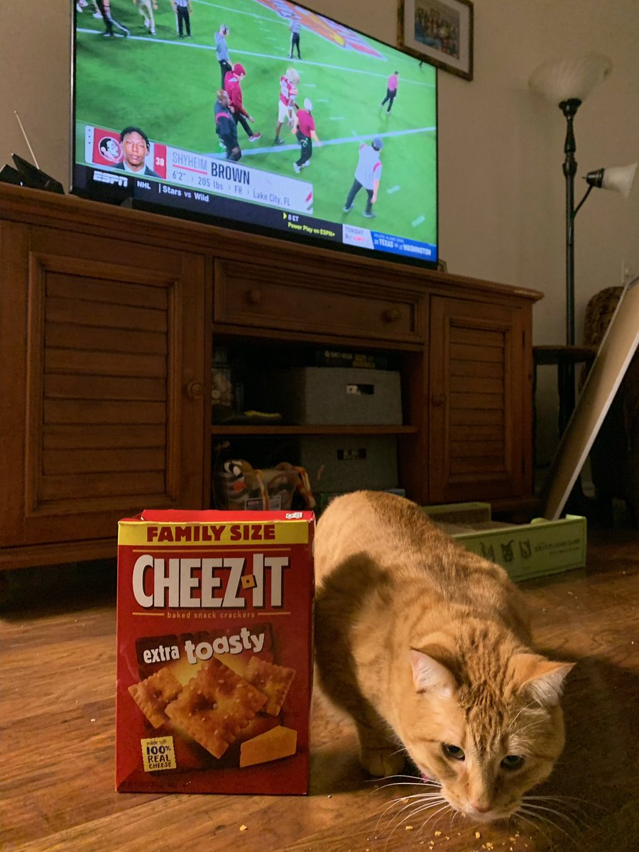 Francesca Lappin tweet media