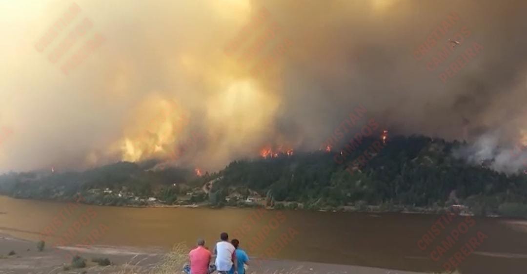 Luchoo__Diaz's tweet photo. #IncendioForestal Nacimiento. 

Vista desde San Rosendo. 
#AlertaRoja. 
Incendio totalmente fuera de control, diferentes cuerpos de baberos de la provincia de Concepción han ido en apoyo para combatir este incendio forestal. 

#Urgente 
#IncendiosForestales 
#Nacimiento https://t.co/lR63ETTjyJ