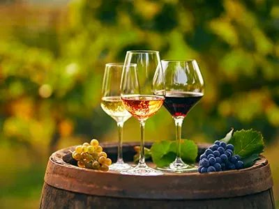 ¿Cuáles son los factores determinantes en la calidad del vino?
copasycorchos.com/2022/12/cuales…