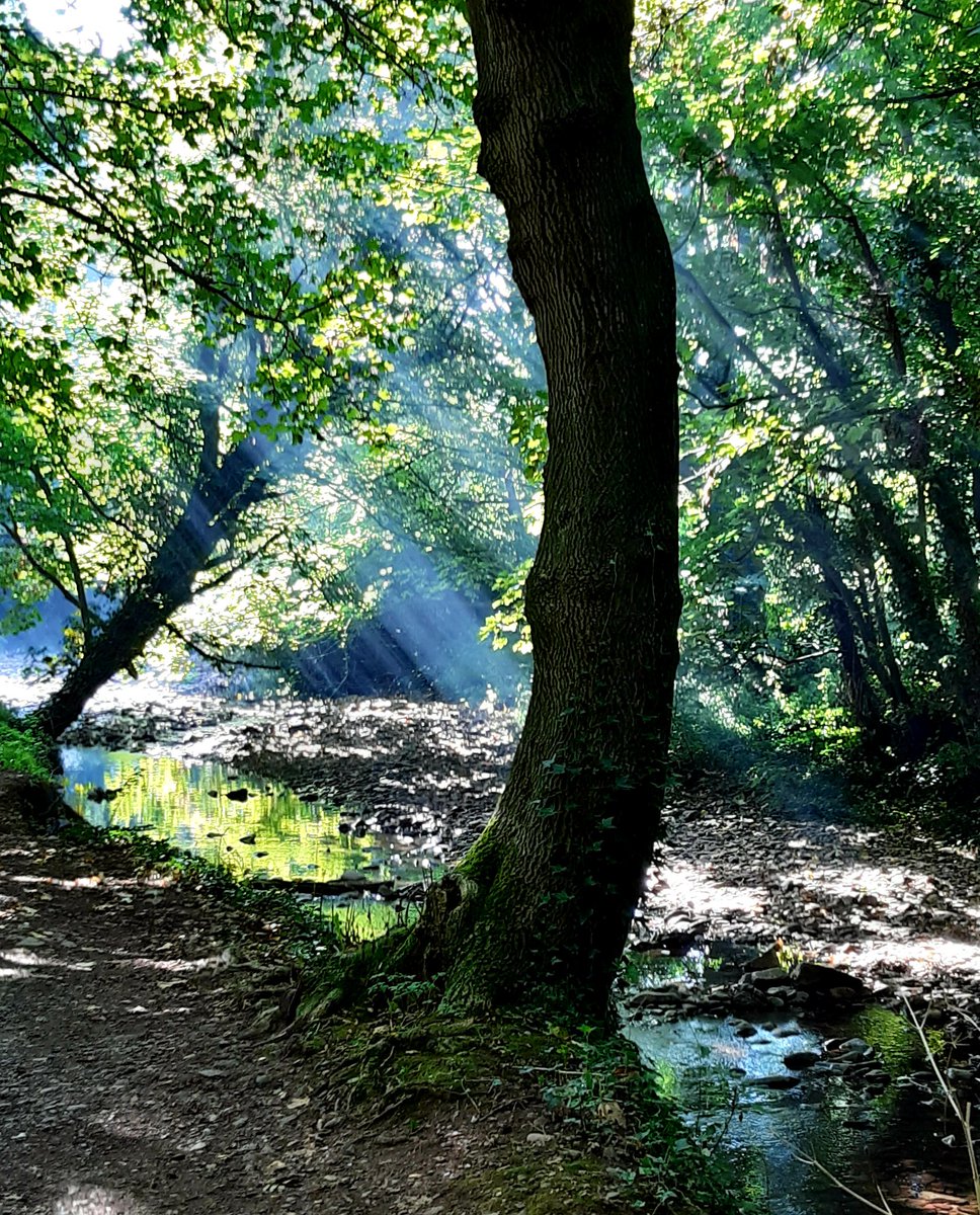 evesham ramblers tweet media