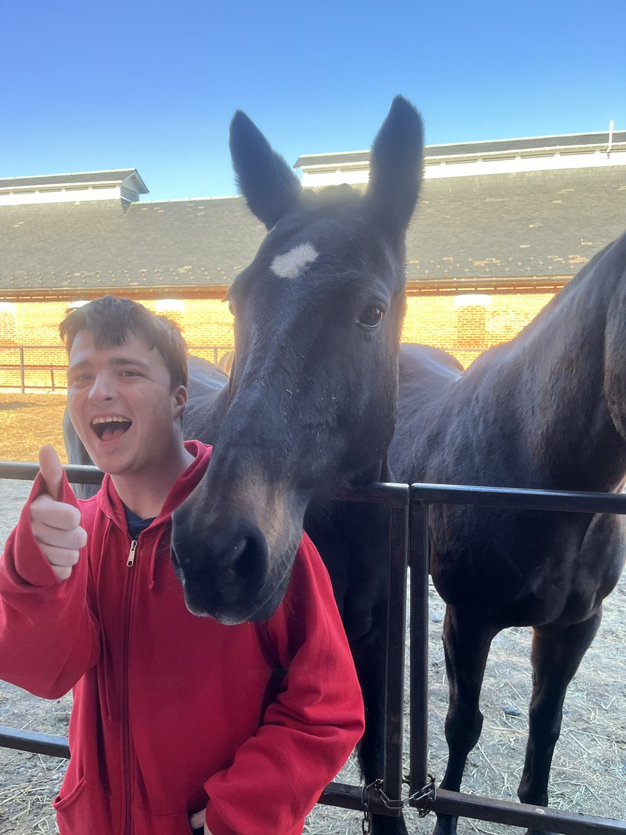 Nathan loves visiting the caisson horses at Arlington Cemetery.