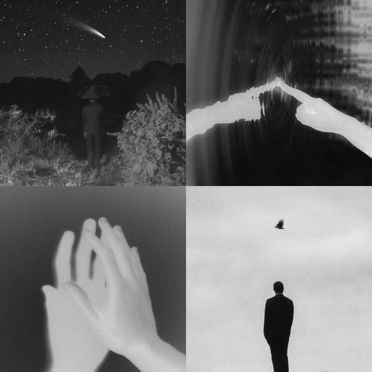Photos I took in 2022