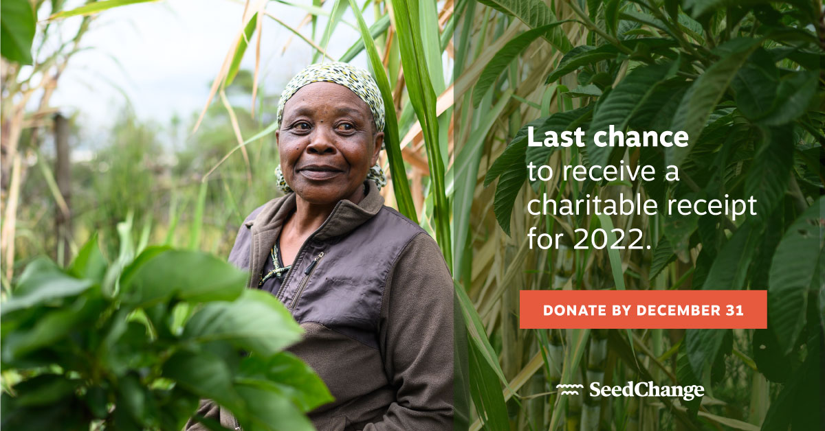 This is your last chance to make a donation to SeedChange and receive a charitable tax receipt for 2022. 

Donate up until December 31: weseedchange.org/donate/

Thank you for supporting the #foodsovereignty mission, and for helping #farmers grow a better world!