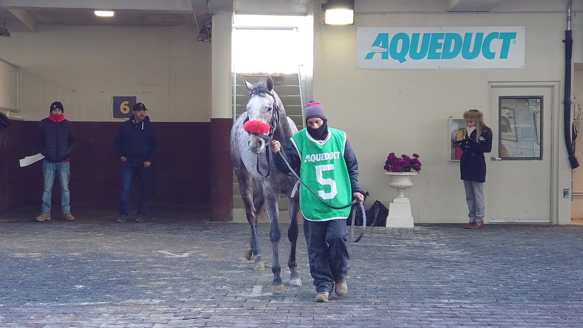 Rachael Keithan (@keithanrachael) on Twitter photo Our barn will close out 2022 with Landslid going in Race 7 at <a href="/OaklawnRacing/">Oaklawn Hot Springs</a>. She's entered to run 1 mile over the muddy track with David Cabrera up.
Good luck to Relentless Racing, Shon McLain, & the rest of the connections!
#horseracing #keithanracing ๐๐ Our barn will close out 2022 with Landslid going in Race 7 at <a href="/OaklawnRacing/">Oaklawn Hot Springs</a>. She's entered to run 1 mile over the muddy track with David Cabrera up.
Good luck to Relentless Racing, Shon McLain, & the rest of the connections!
#horseracing #keithanracing ๐๐
