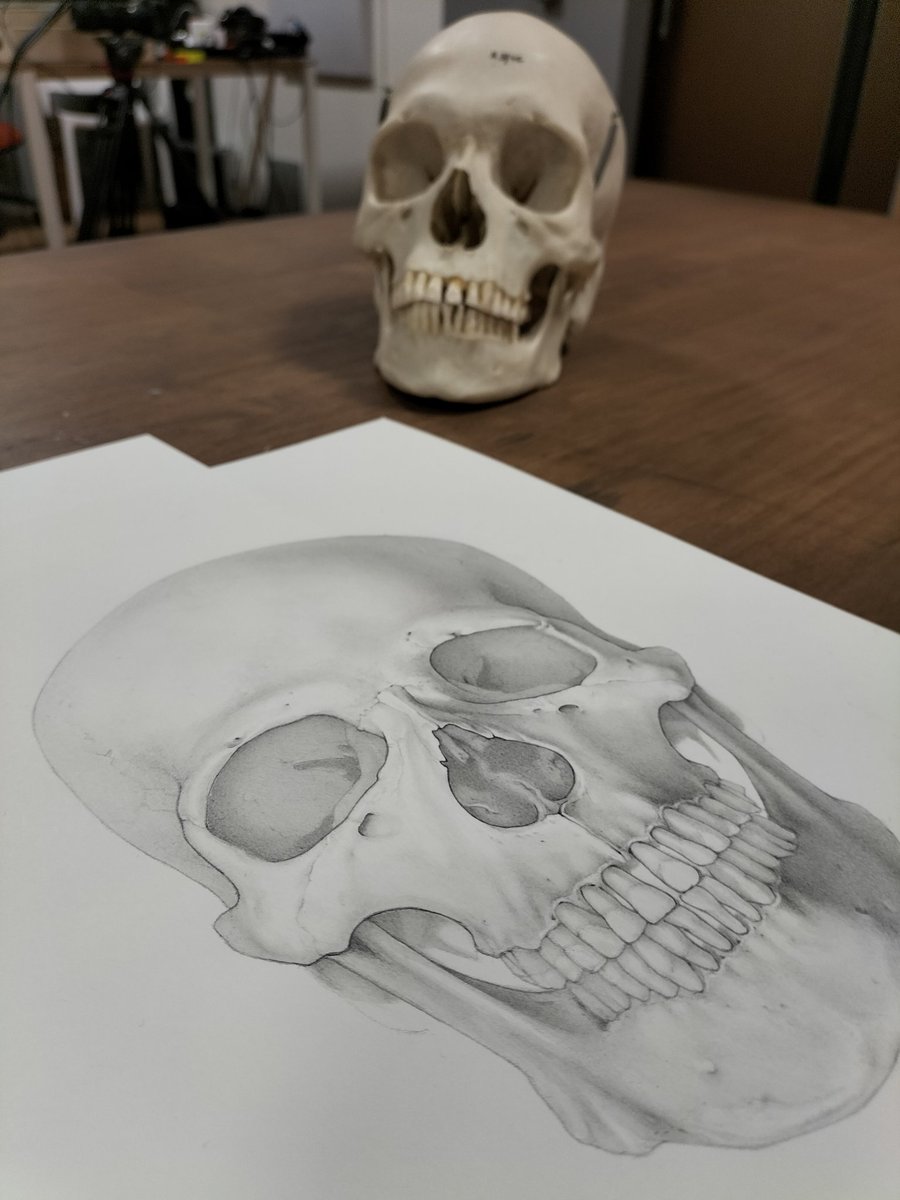 ella_nitters's tweet photo. Sneak peek on set for my Domestika course! β¨ Stay tuned for launch January 2023!
#soonondomestika #drawingcourse #anatomicaldrawing #graphitepencil #sciart #skull https://t.co/BtkJ8QLpBK