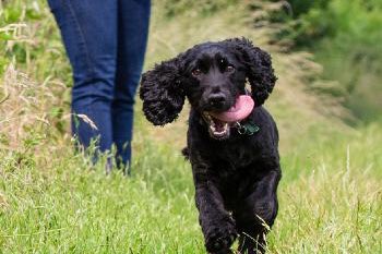 Dr Daniel Allen tweet media