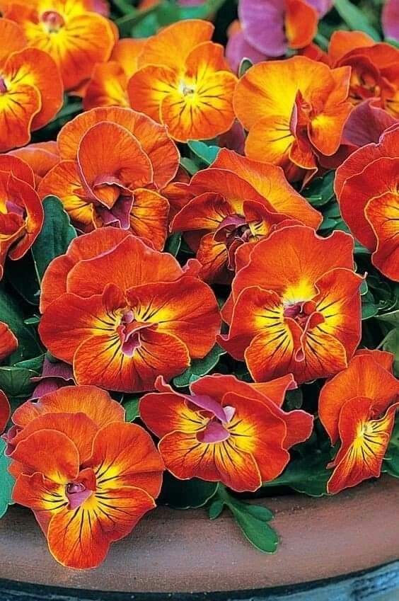 Miguel A. Adrian (@miguelaadrian) on Twitter photo 