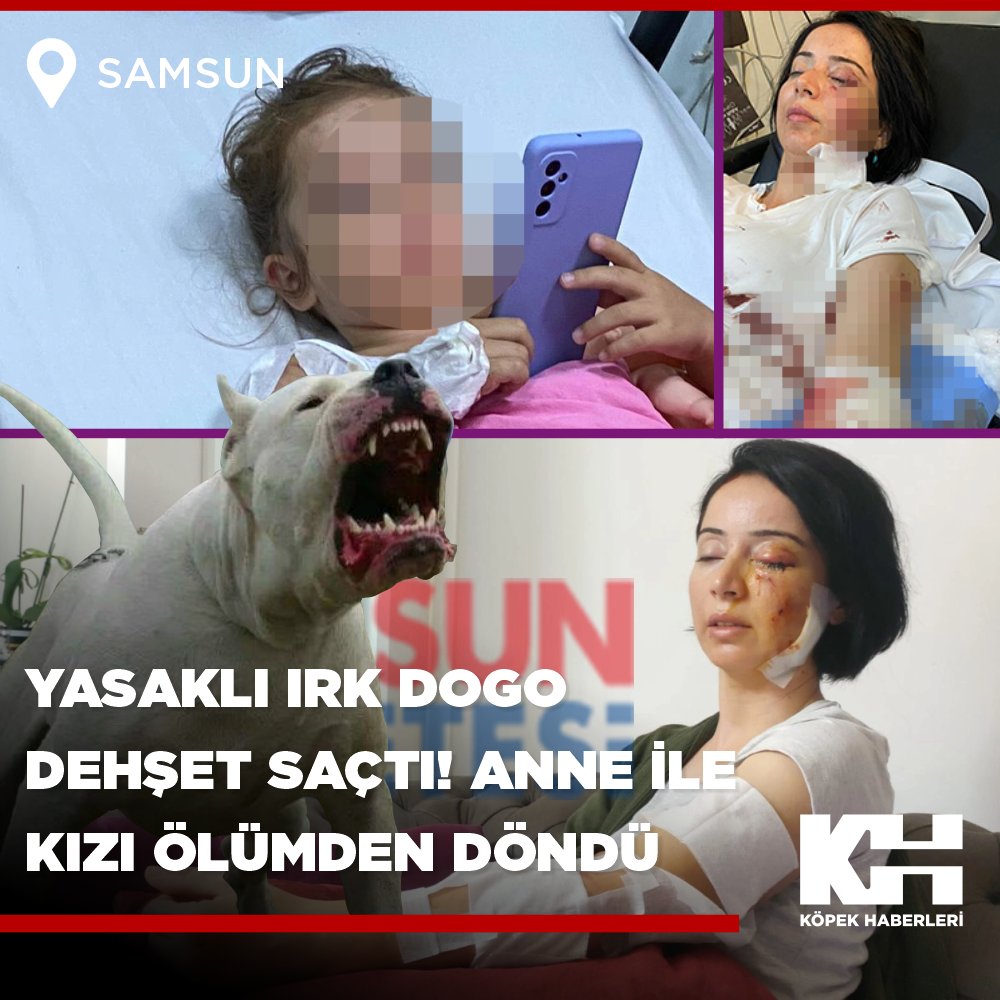 Anne ile kızı ölümden döndü!
#kuduz .
Samsun'da sınıf öğretmeni Sibel Güven ve 4 yaşındaki kızı Ece Güven, Atakum ilçesinde gittikleri bir tesiste bulunan iki 'Dogo Argentino' yasaklı ırk köpeğin saldırısına uğradı. 

Haberin ayrıntıları: