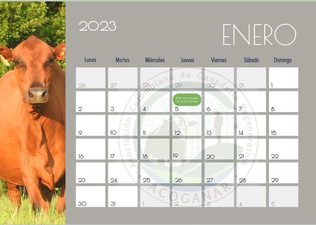 ACOGANAR's tweet photo. Quieres tu calendario de #Acoganar del 2023, escríbenos vía whatsapp al +57 300 7443362 para enviartelo...
#YoSoyAcoganar
#GanaderiaRegenerativa
#GanaderiaColombiana
#Naturaleza #Fauna #Flora https://t.co/p2zmbwQX9D
