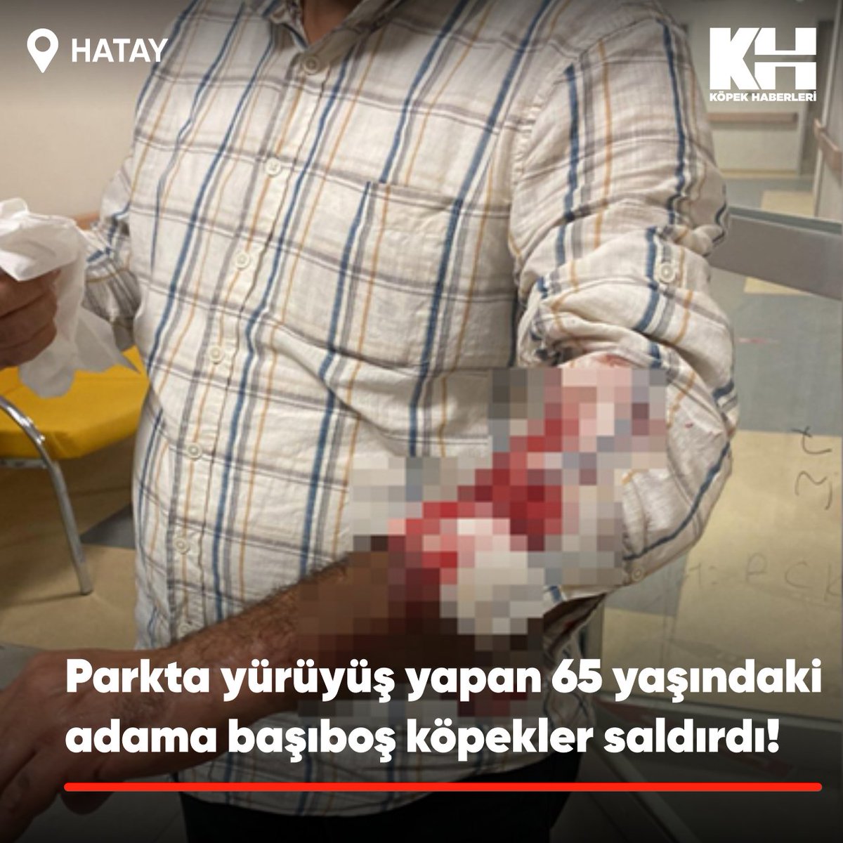 Hatay'ın Samandağ ilçesinde Atatürk Sahil Parkı'nda yürüyüşe çıkan 65 yaşındaki Refik S., başıboş köpeklerin saldırısına uğradı.
#kuduz .
Çevredekilerin yardımıyla kurtulan, kolundan ve bacağından yaralanan yaşlı adam, 112 Acil Servis ekiplerince Samandağ Devlet Hastanesi'ne k...