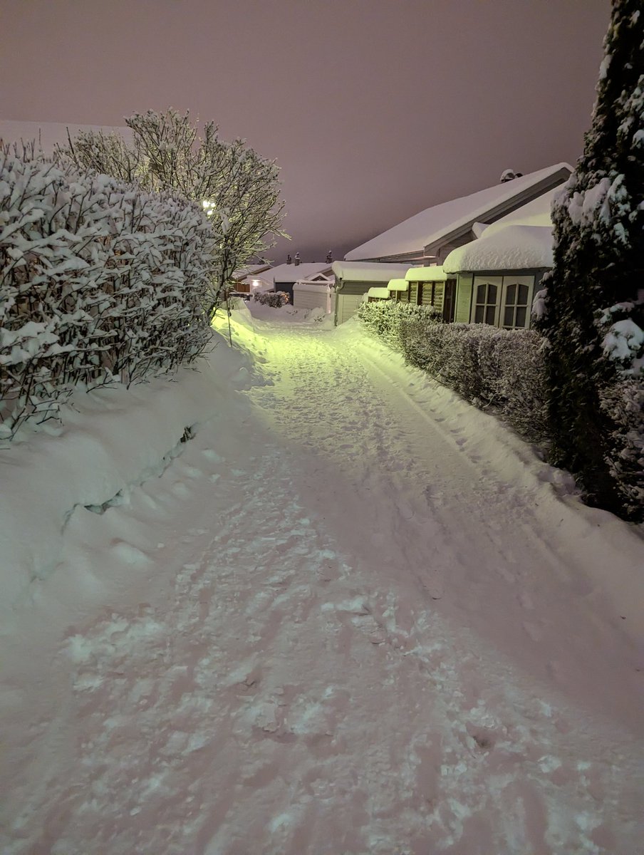Doramusicana's tweet photo. From todays very short walk(my dog is terrified of fireworks) 🎊⭐ #ihatefireworks #dogmom #NewYear2023 #WINTER #photography #googlepixel https://t.co/ZYiA1yixfu