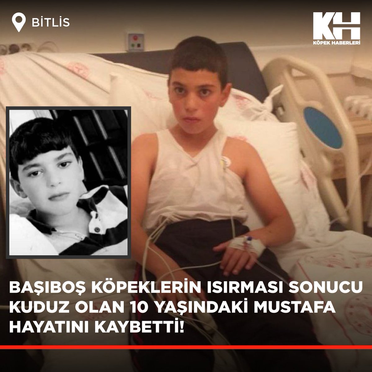 Bitlis'te başıboş köpeklerin ısırması sonucu kuduz olan ve günlerce yoğun bakımda yaşam mücadelesi veren 10 yaşındaki Mustafa Erçetin hayatını kaybetti! #kuduz .