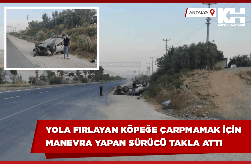 Antalya, Gazipaşa’da, yola fırlayan başıboş köpeğe çarpmamak için sürücüsünün manevra yaptığı otomobil takla attı. #kuduz .