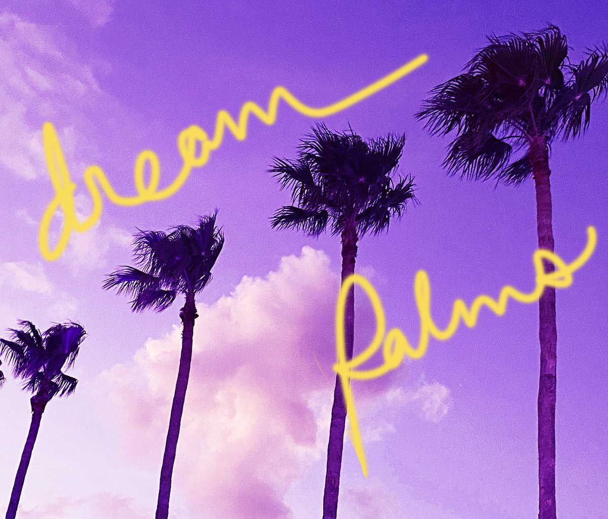 illy 🖤 idreaminpictures tweet media