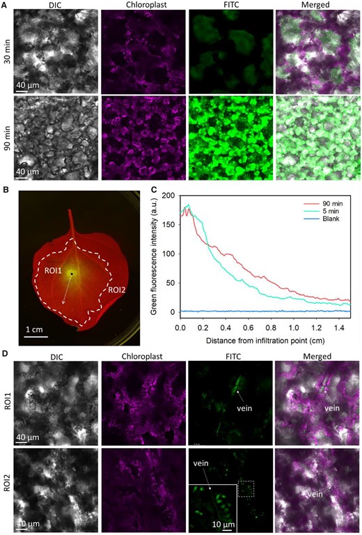 Plant Science tweet media