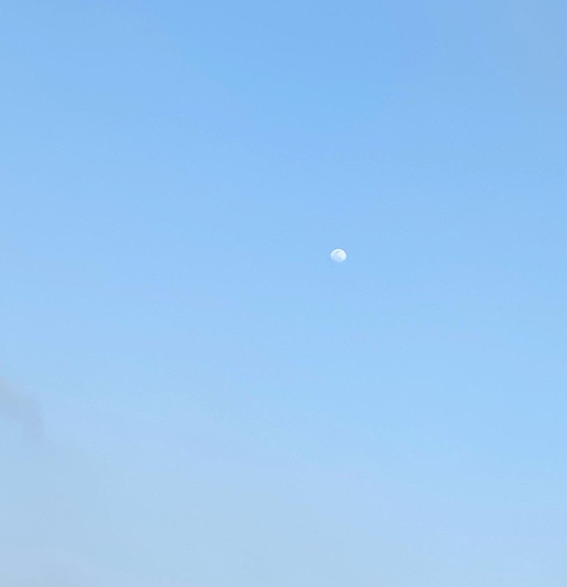 StarMable123 tweet picture