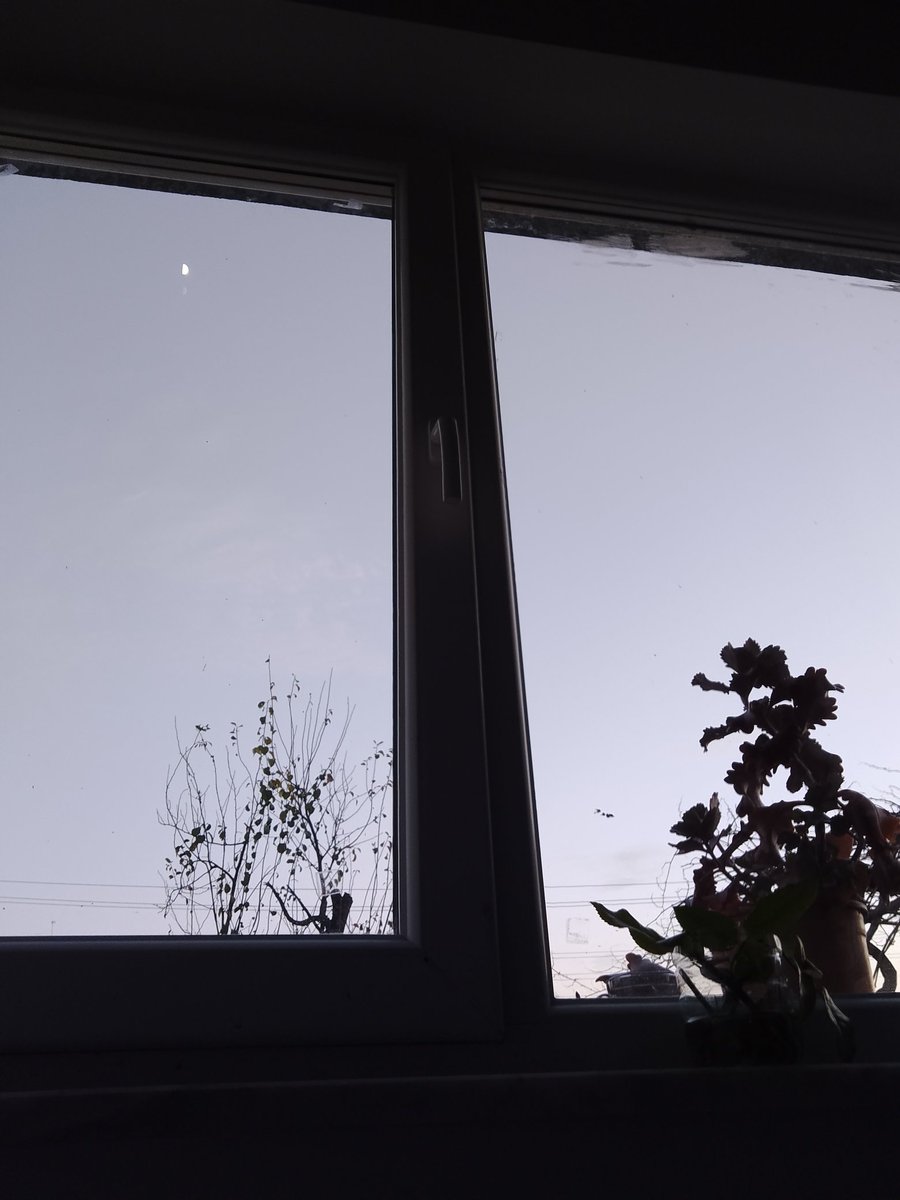 Harika 1 Akşam üzeri ♥️♥️♥️