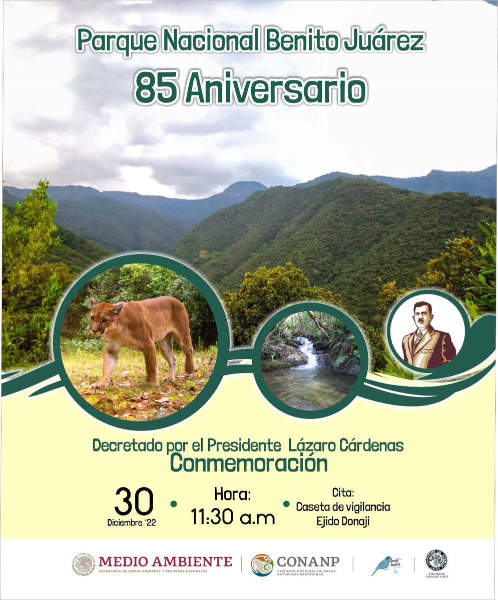 ppavel77's tweet photo. Hoy se cumplen 85 años que el Gral. Lázaro Cárdenas decretó el Parque Nacional Benito Juárez, con la visión de un gobierno revolucionario de crear espacios para la gente, el cuidado del agua y del patrimonio natural y cultural para el disfrute de las y los mexicanos #Oaxaca 🇲🇽🌲 https://t.co/PfEJ0kJzib